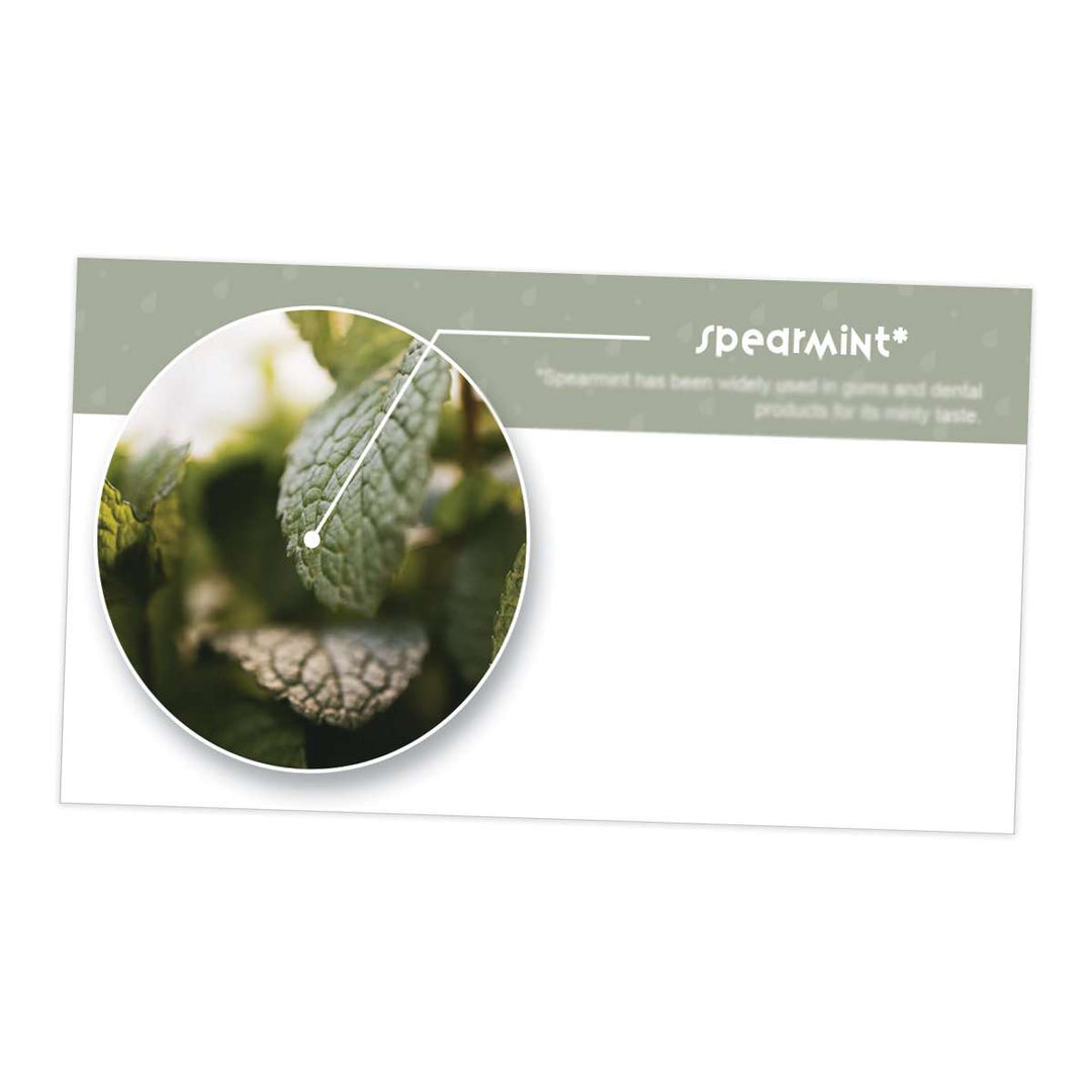 Spearmint Essential Oil Cards (Pack of 10) Media Your Oil Tools 