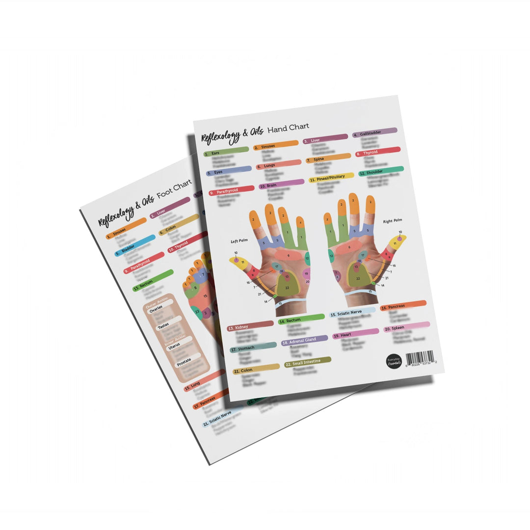 Reflexology Points Chart (Hand & Foot) Media Your Oil Tools 