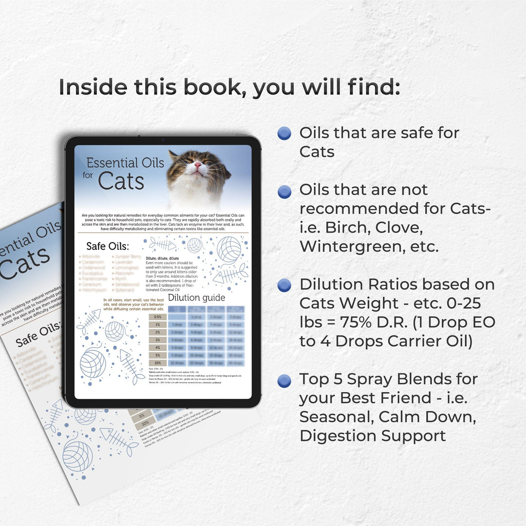 Cats and Essential Oils Tear Sheet (Digital Download) DIY Your Oil Tools 