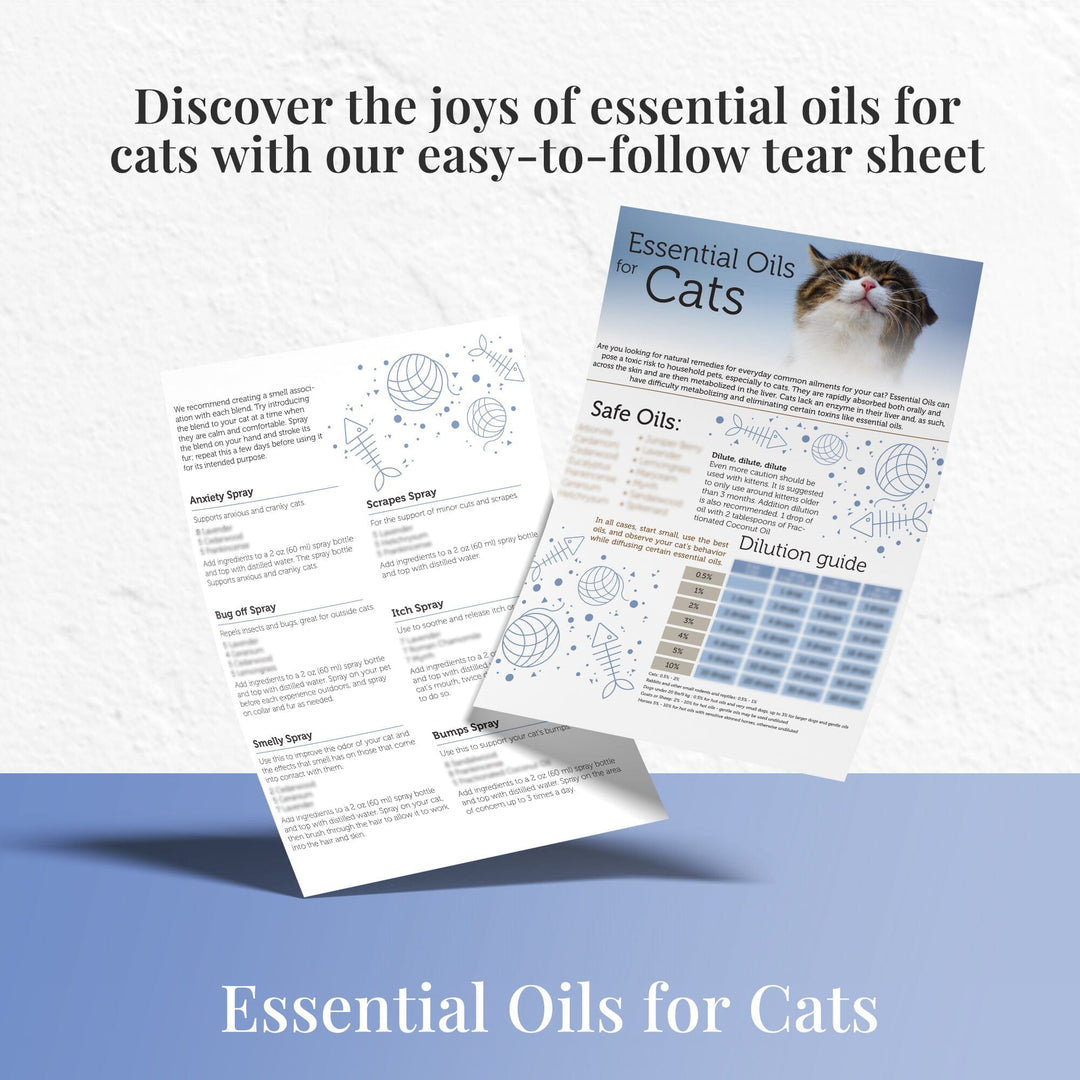 Cats and Essential Oils Tear Sheet DIY Your Oil Tools 