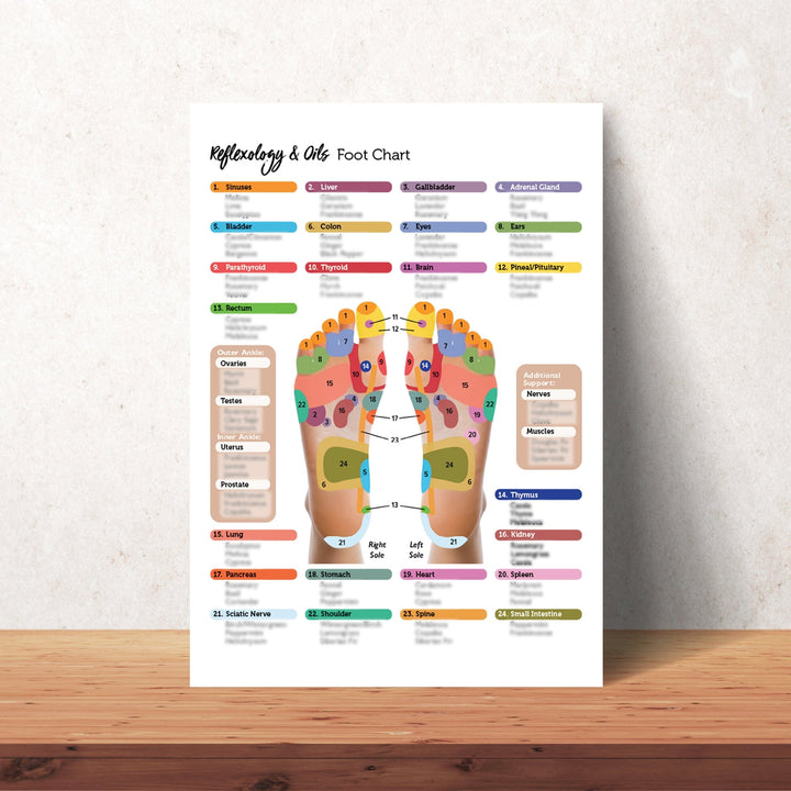 Reflexology Points Chart (Hand & Foot) Media Your Oil Tools 