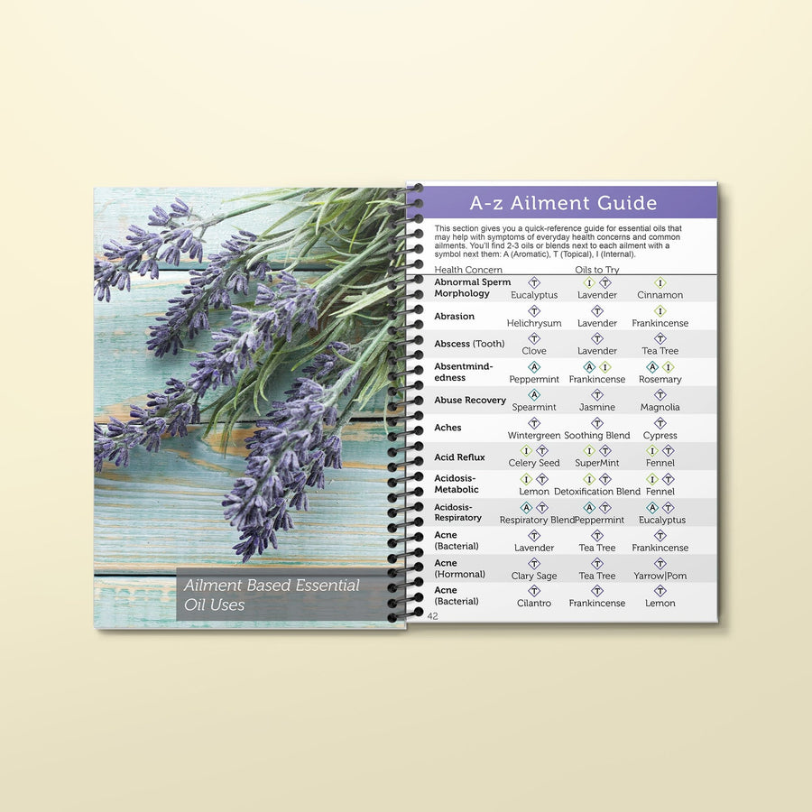 Everyday Essentials Basics Guide – 4th Edition Spiral Bound Book – Your ...