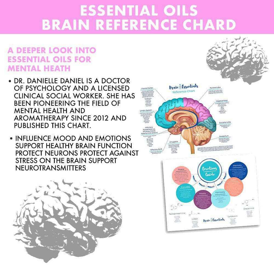 Brain Webchart Brain Chart by Dr. Danielle Daniel – Your Oil Tools