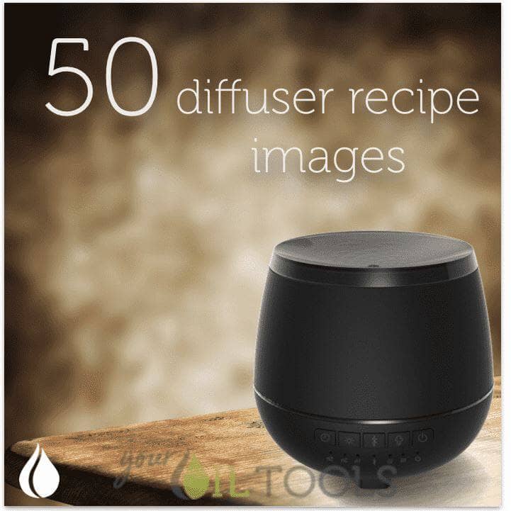 50 Diffuser Recipes - Digital Images for Sharing Digital Steve Baer 