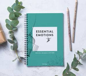 Essential Emotions Book 11Th Edition Your Oil Tools 