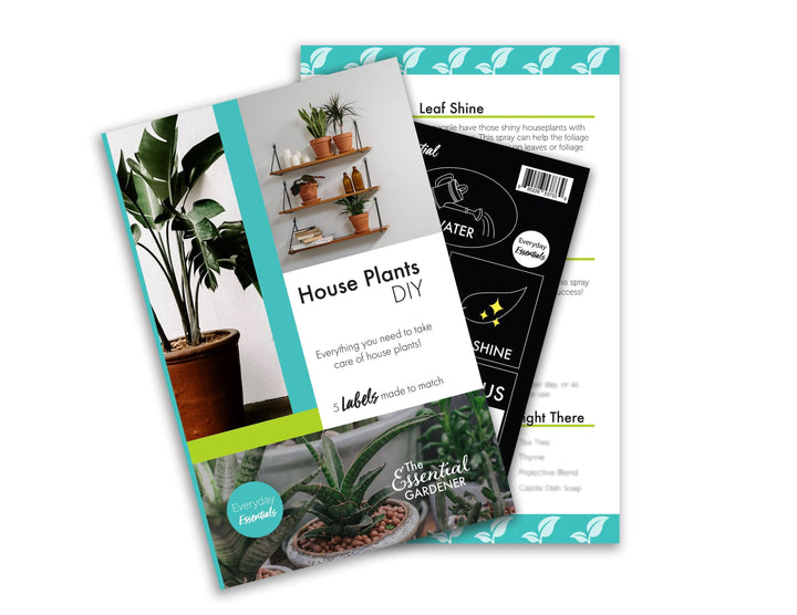 House Plants Recipes & Labels DIY for Essential Oils DIY Your Oil Tools 