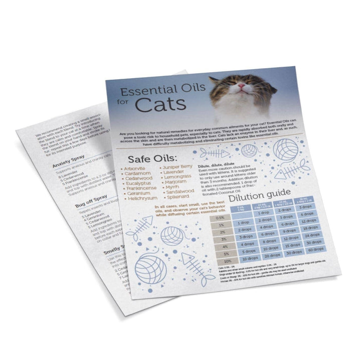 New! Cats and Essential Oils Tear Sheet DIY Your Oil Tools 