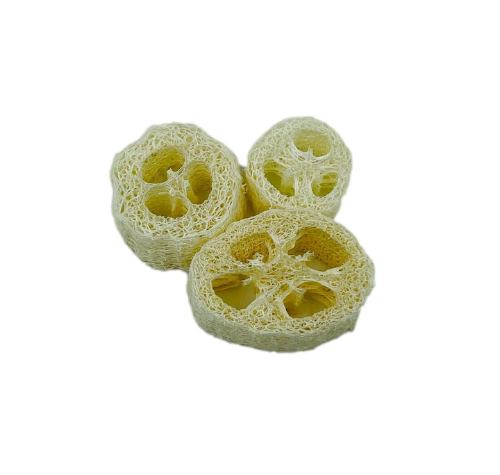 Natural Sea Sponge by Simply Spa (Set of 3) Home Care Your Oil Tools 