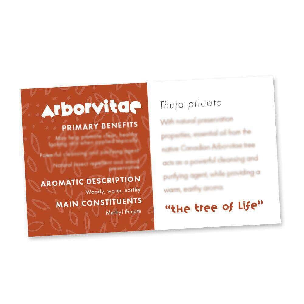Arborvitae Essential Oil Cards (Pack of 10) Media Your Oil Tools 
