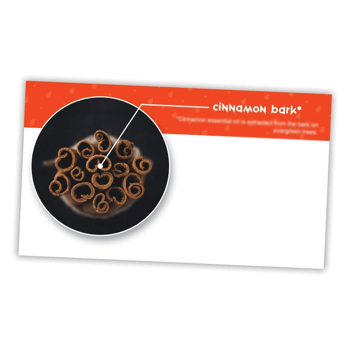 Cinnamon Bark Essential Oil Cards (Pack of 10) Media Your Oil Tools 