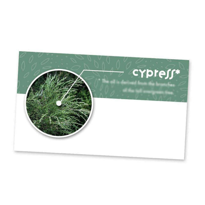 Cypress Essential Oil Cards (Pack of 10) Media Your Oil Tools 