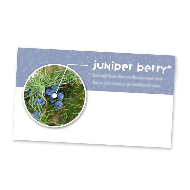 Juniper Berry Essential Oil Cards (Pack of 10) Media Your Oil Tools 