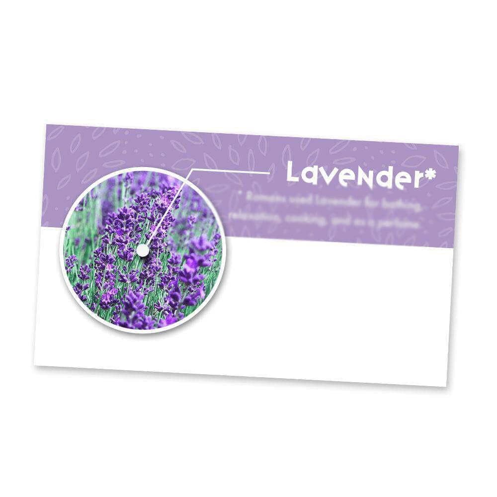 Lavender Essential Oil Cards (Pack of 10) Media Your Oil Tools 