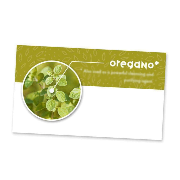 Oregano Essential Oil Cards (Pack of 10) Media Your Oil Tools 