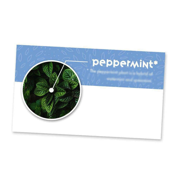 Peppermint Essential Oil Cards (Pack of 10) Media Your Oil Tools 