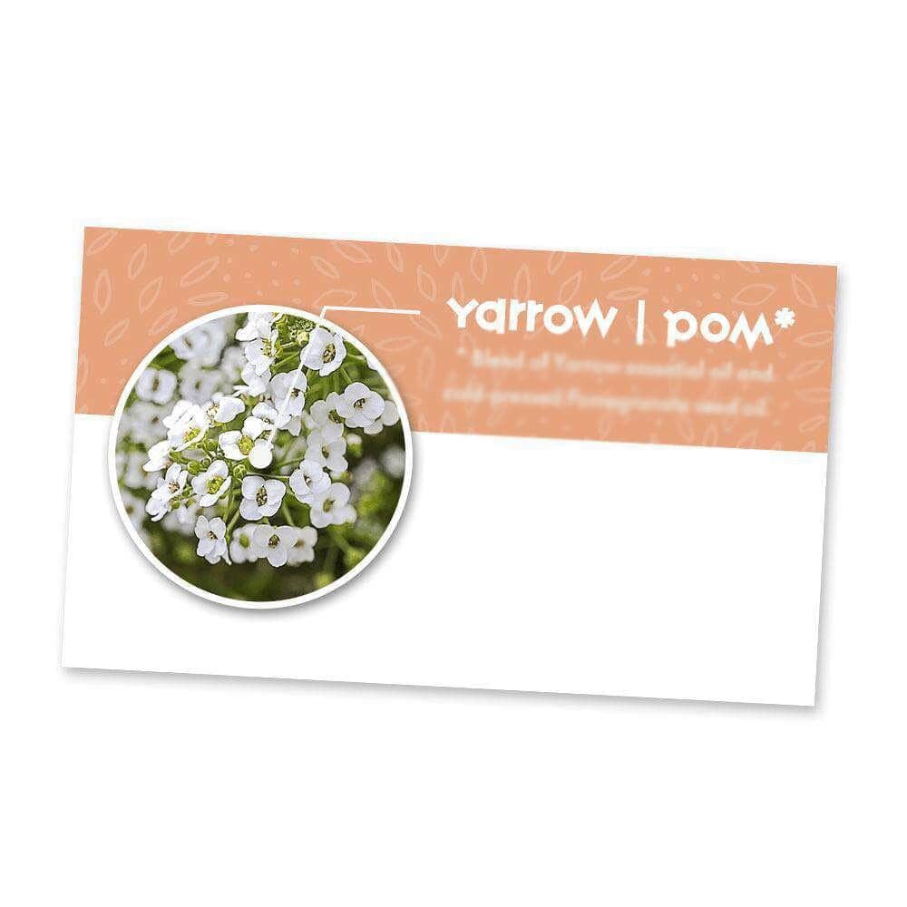 Yarrow | Pom Essential Oil Cards (Pack of 10) Media Your Oil Tools 