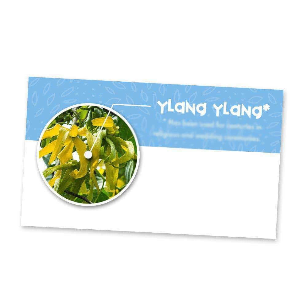 Ylang Ylang Essential Oil Cards (Pack of 10) Media Your Oil Tools 