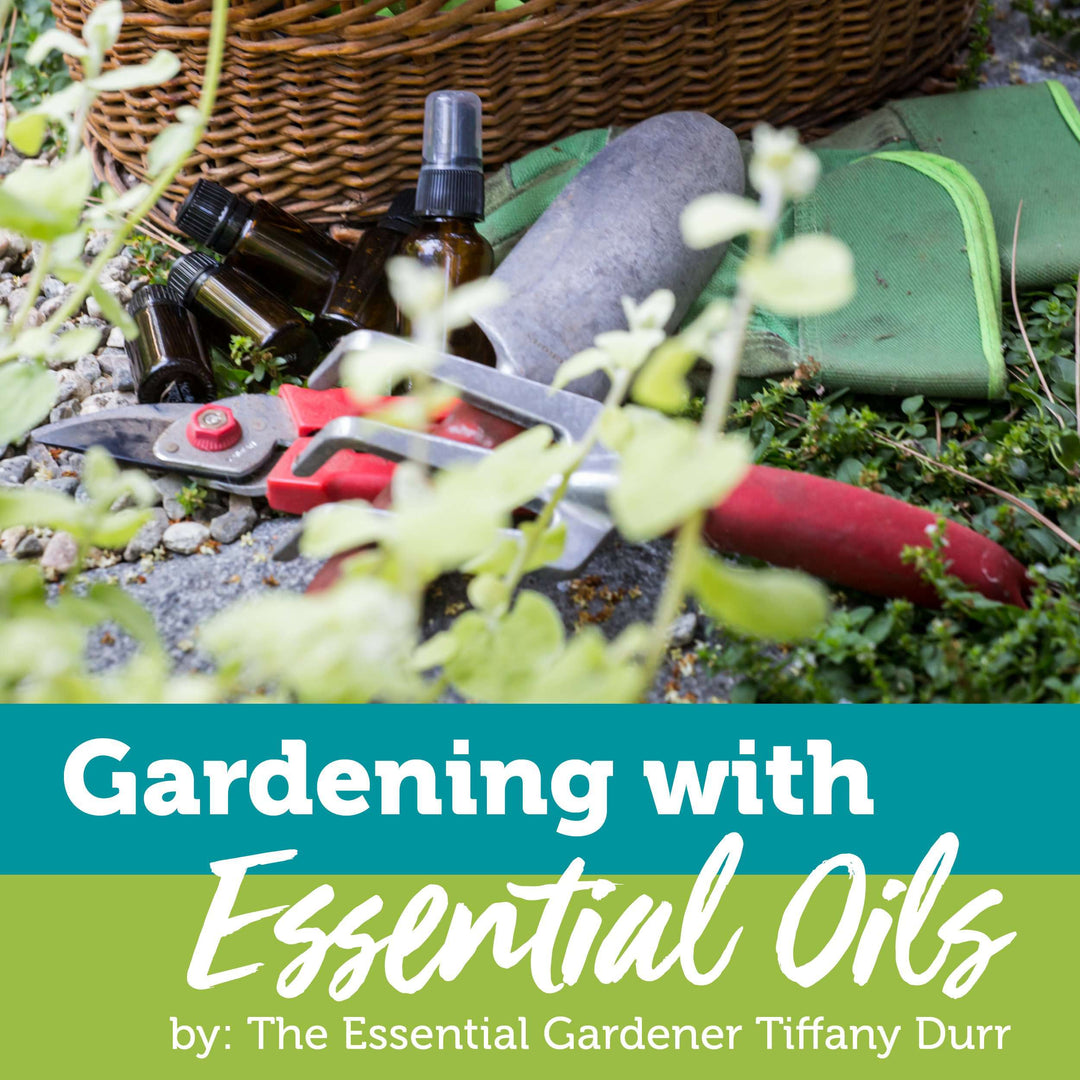 Gardening with Essential Oils Facebook Class Digital Durr 