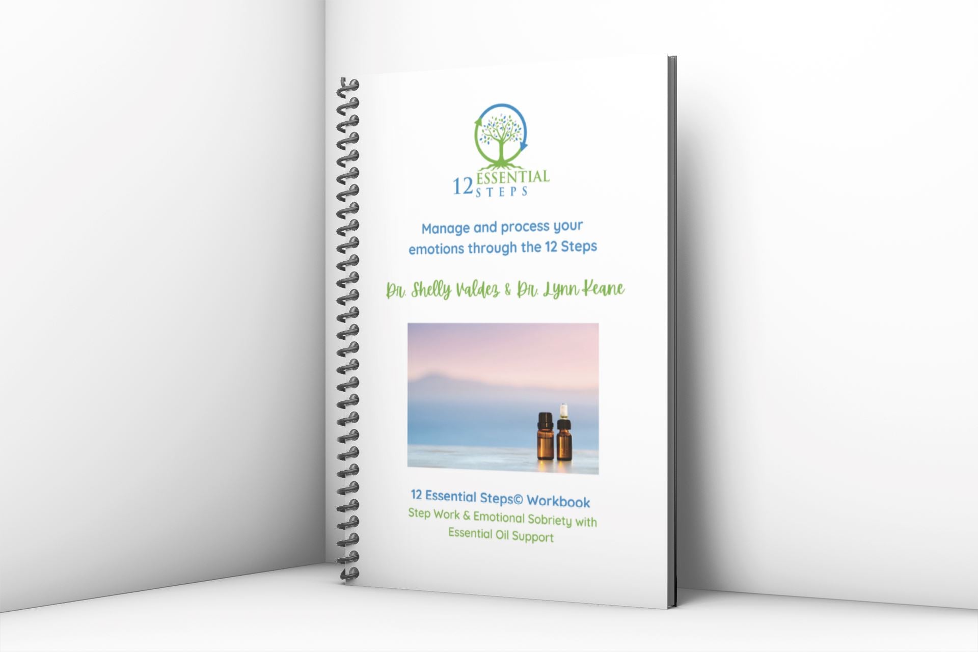 Essential 12 Steps Workbook (Version 2) – Your Oil Tools