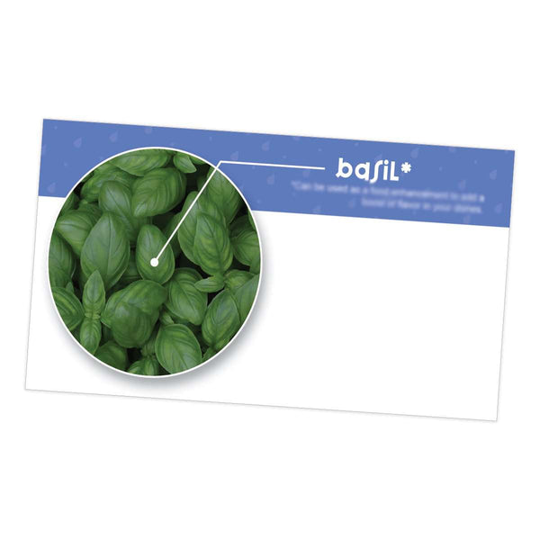 Basil Essential Oil Cards (Pack of 10) Media Your Oil Tools 