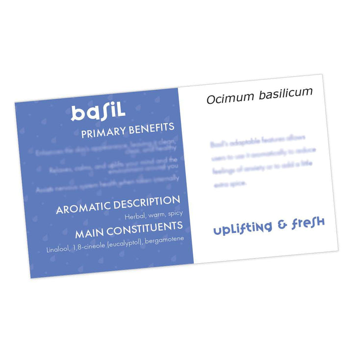 Basil Essential Oil Cards (Pack of 10) Media Your Oil Tools 