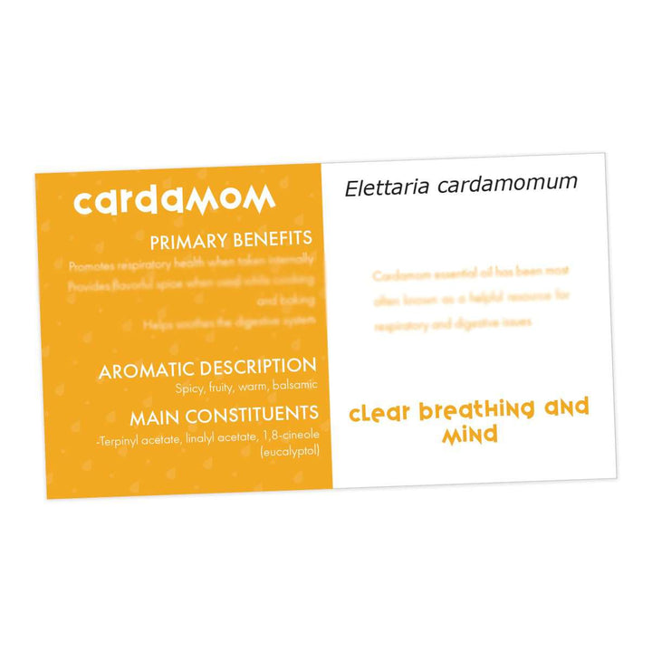 Cardamom Essential Oil Cards (Pack of 10) Media Your Oil Tools 