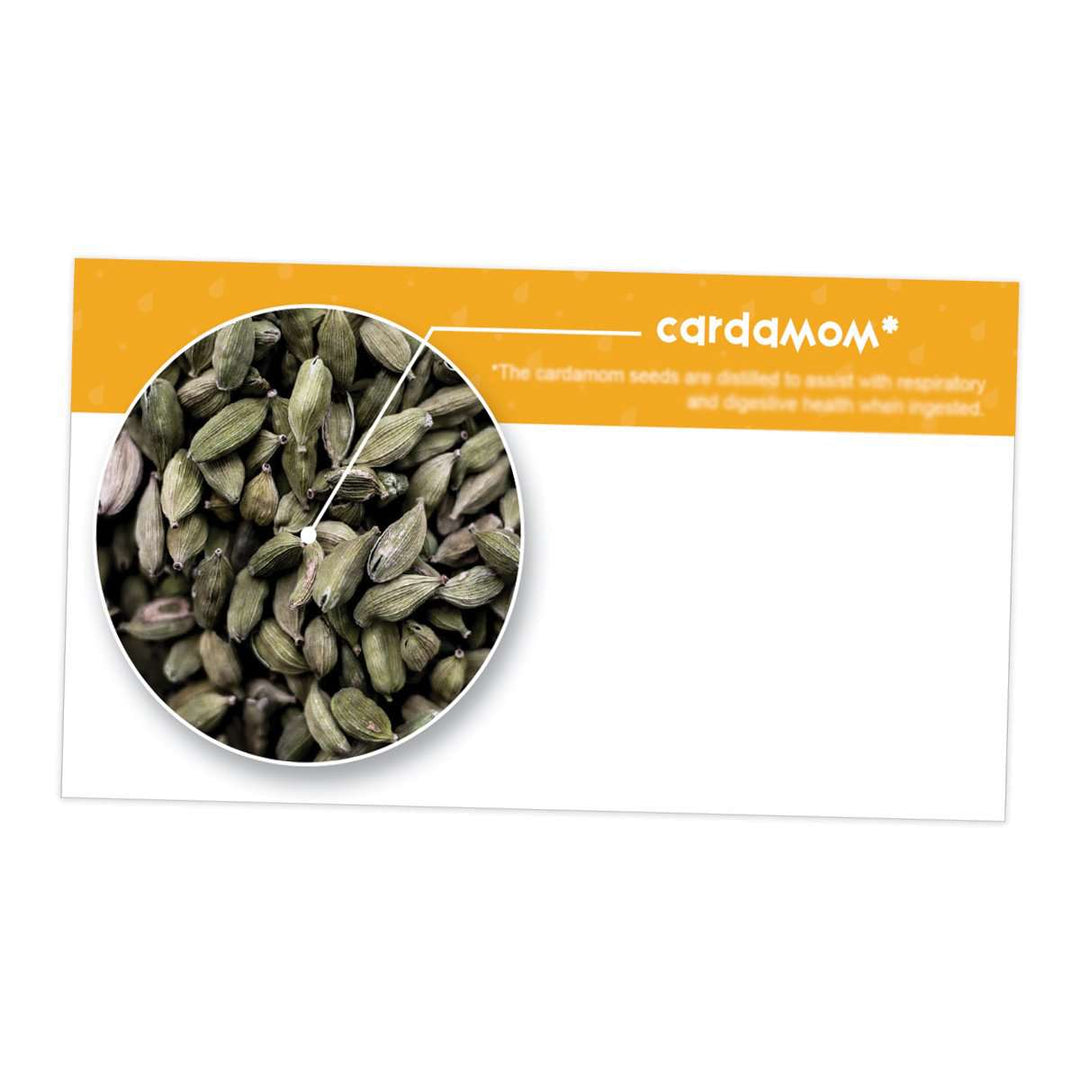 Cardamom Essential Oil Cards (Pack of 10) Media Your Oil Tools 