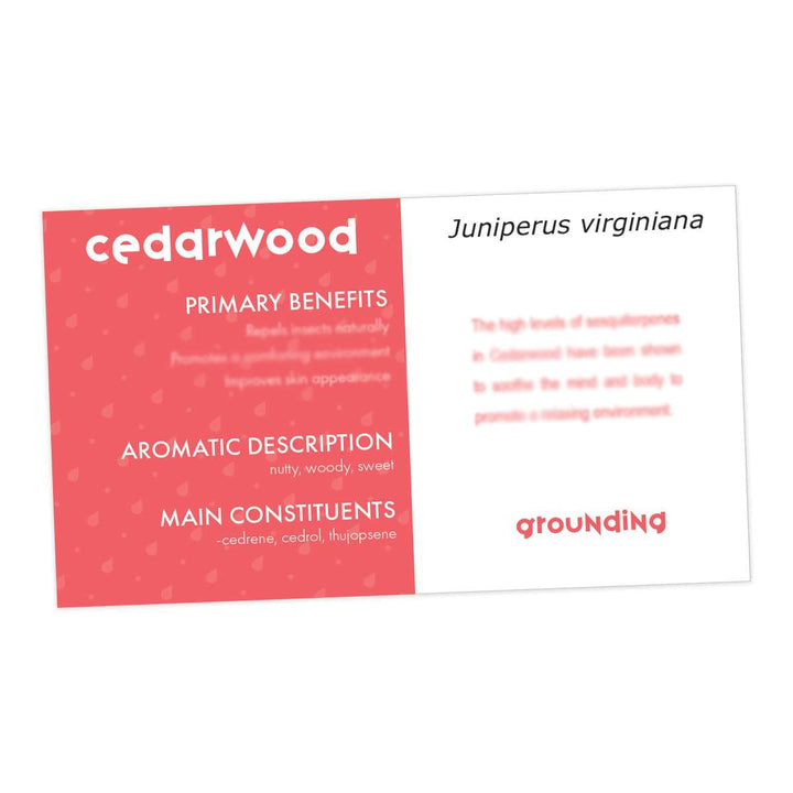 Cedarwood Essential Oil Cards (Pack of 10) Media Your Oil Tools 