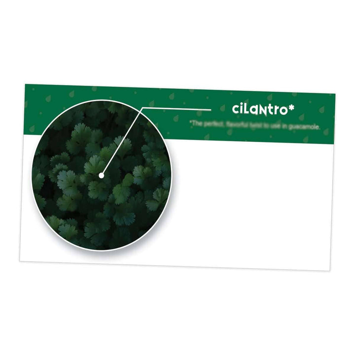 Cilantro Essential Oil Cards (Pack of 10) Media Your Oil Tools 