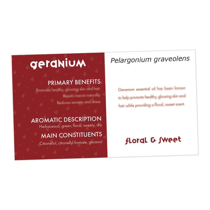 Geranium Essential Oil Cards (Pack of 10) Media Your Oil Tools 