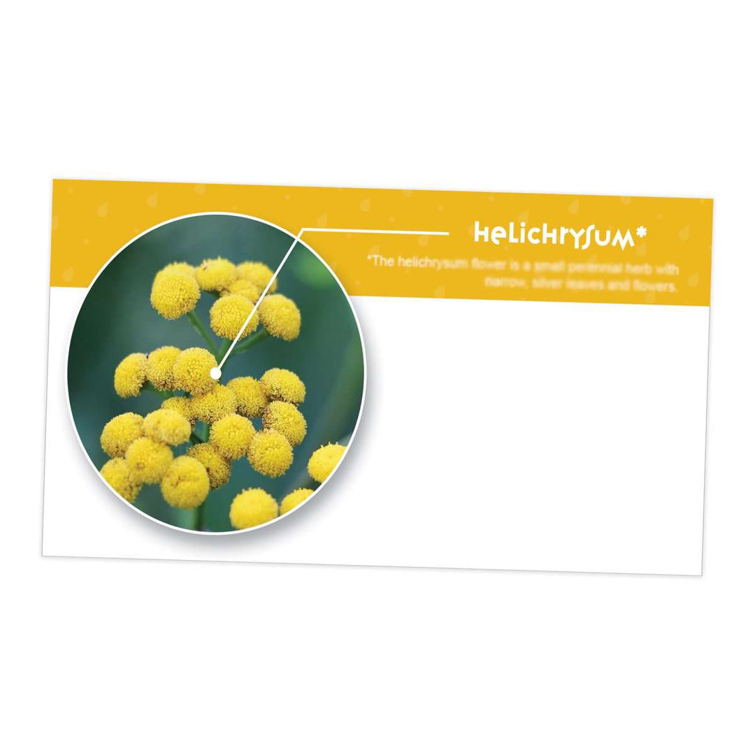 Helichrysum Essential Oil Cards (Pack of 10) Media Your Oil Tools 