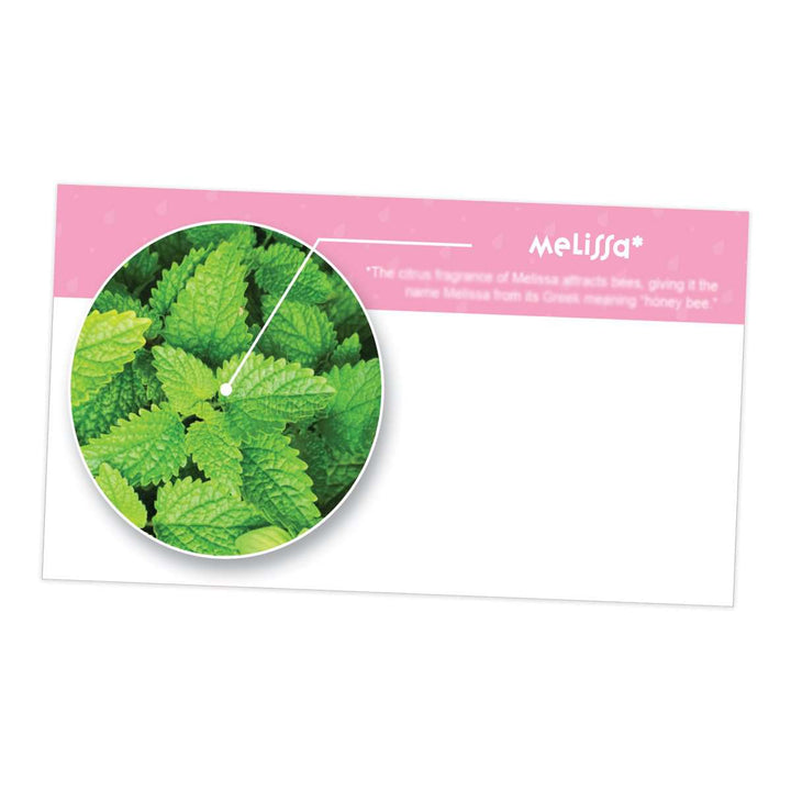 Melissa Essential Oil Cards (Pack of 10) Media Your Oil Tools 