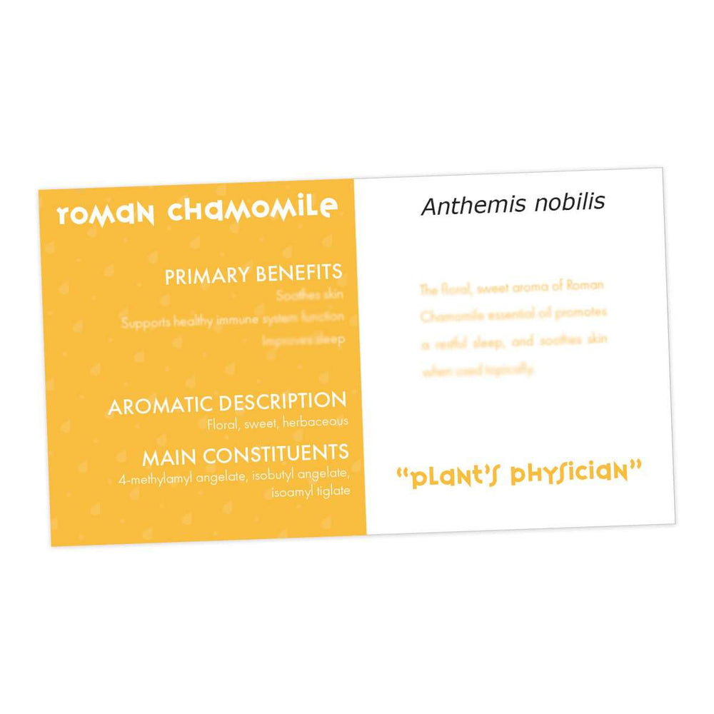 Roman Chamomile Essential Oil Cards (Pack of 10) Media Your Oil Tools 