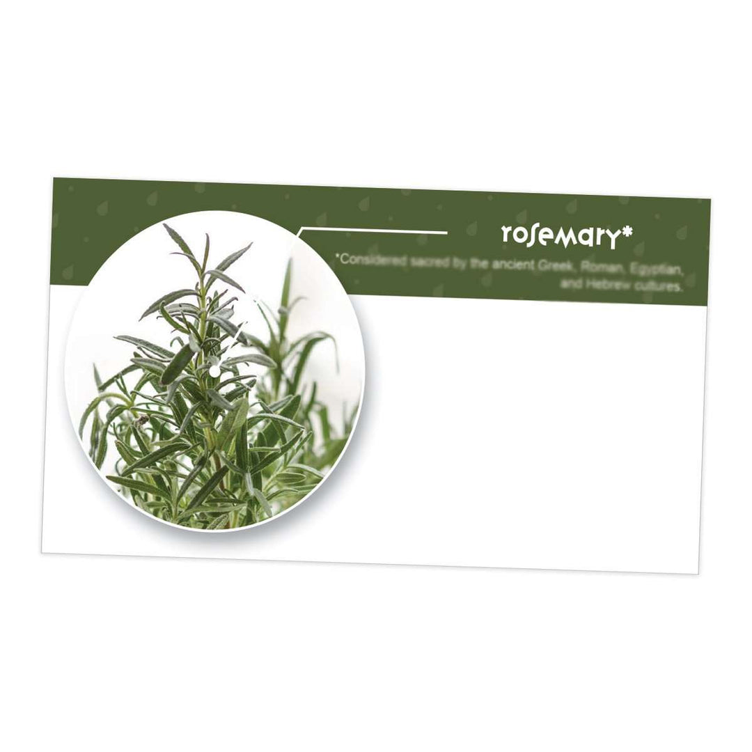 Rosemary Essential Oil Cards (Pack of 10) Media Your Oil Tools 