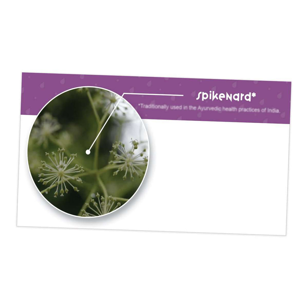 Spikenard Essential Oil Cards (Pack of 10) Media Your Oil Tools 