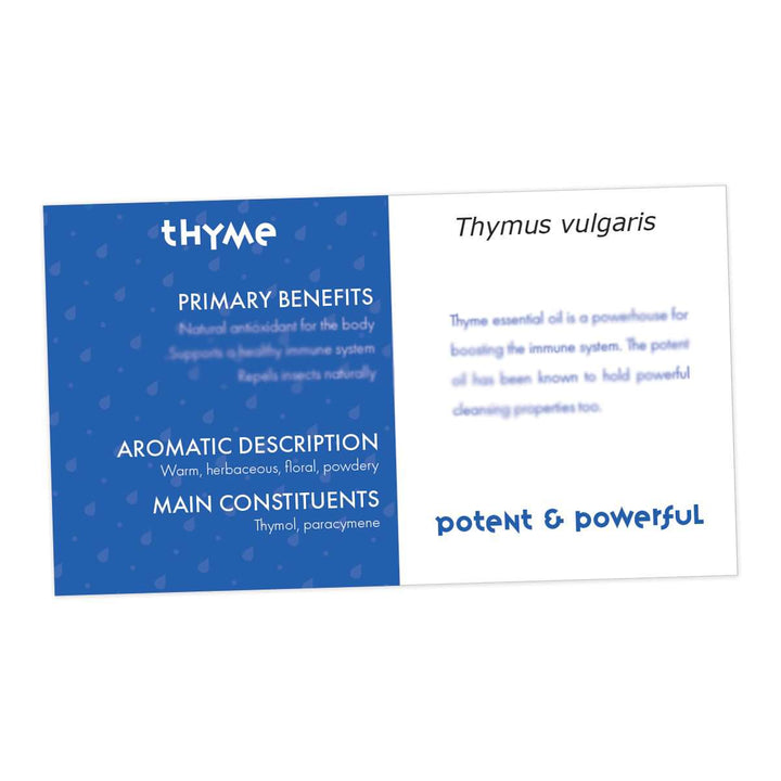 Thyme Essential Oil Cards (Pack of 10) Media Your Oil Tools 