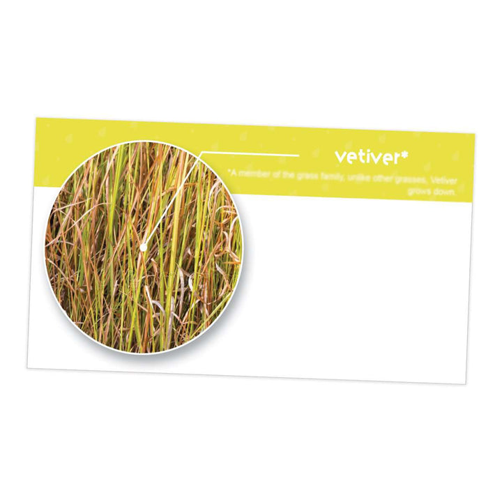 Vetiver Essential Oil Cards (Pack of 10) Media Your Oil Tools 